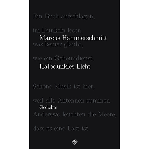 Halbdunkles Licht, Marcus Hammerschmitt