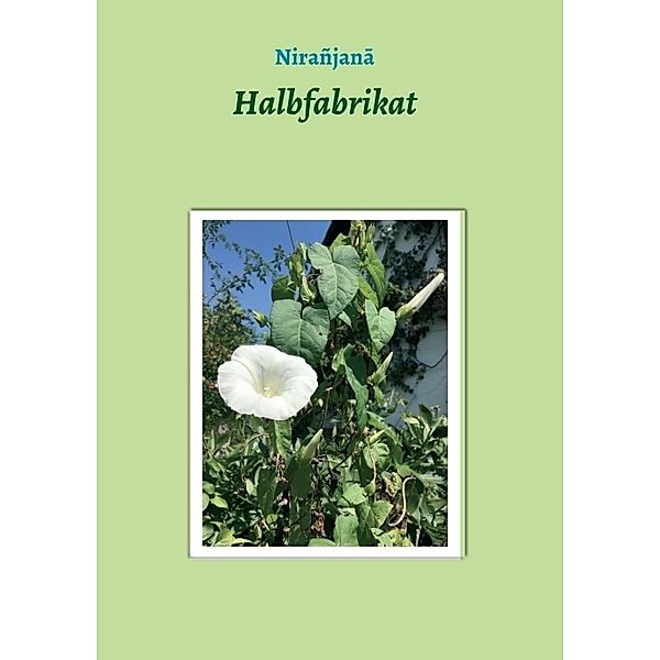 Halbfabrikat, Fräulein Nirañjana