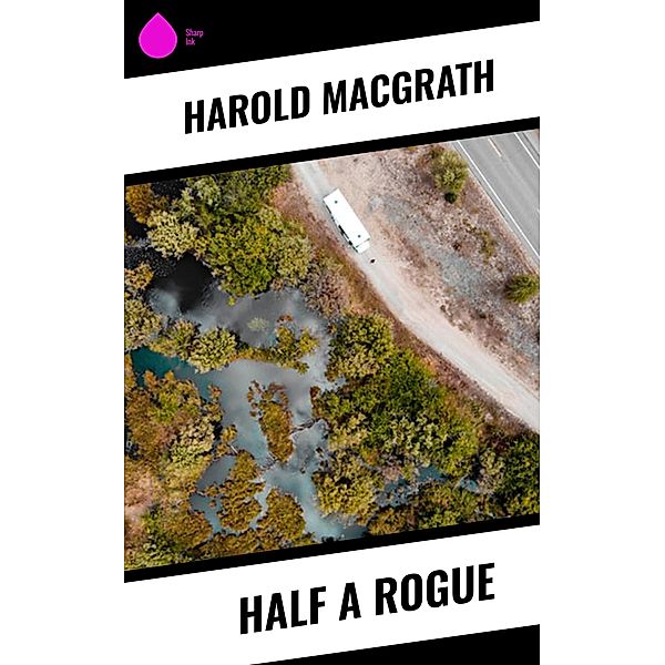 Half a Rogue, Harold MacGrath
