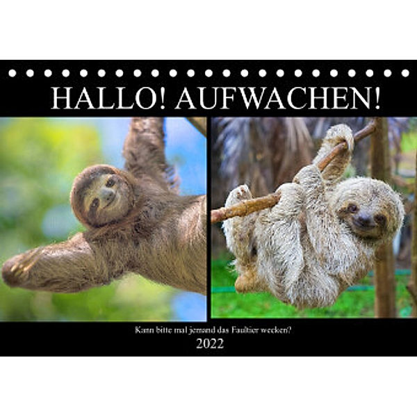 Hallo! Aufwachen! Kann bitte mal jemand das Faultier wecken? (Tischkalender 2022 DIN A5 quer), Rose Hurley