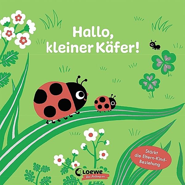 Hallo, kleiner Käfer!