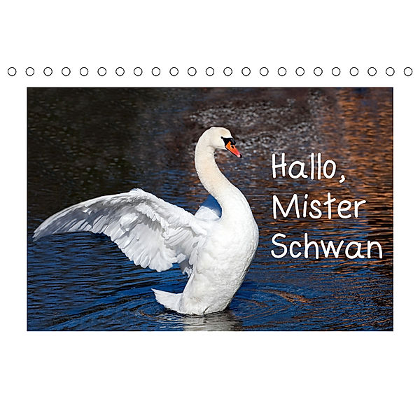 Hallo, Mister Schwan (Tischkalender 2019 DIN A5 quer), Christa Kramer