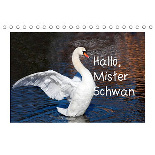 Hallo, Mister Schwan (Tischkalender 2022 DIN A5 quer), Christa Kramer