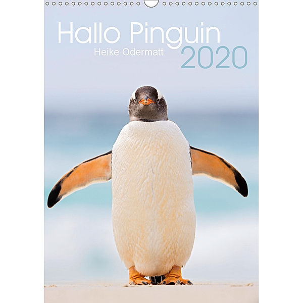Hallo Pinguin (Wandkalender 2020 DIN A3 hoch), Heike Odermatt