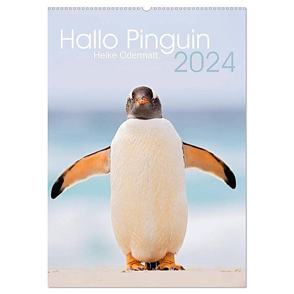 Hallo Pinguin (Wandkalender 2024 DIN A2 hoch), CALVENDO Monatskalender, Heike Odermatt