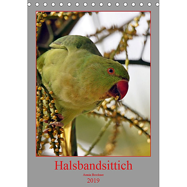 Halsbandsittich (Tischkalender 2019 DIN A5 hoch), Armin Brockner