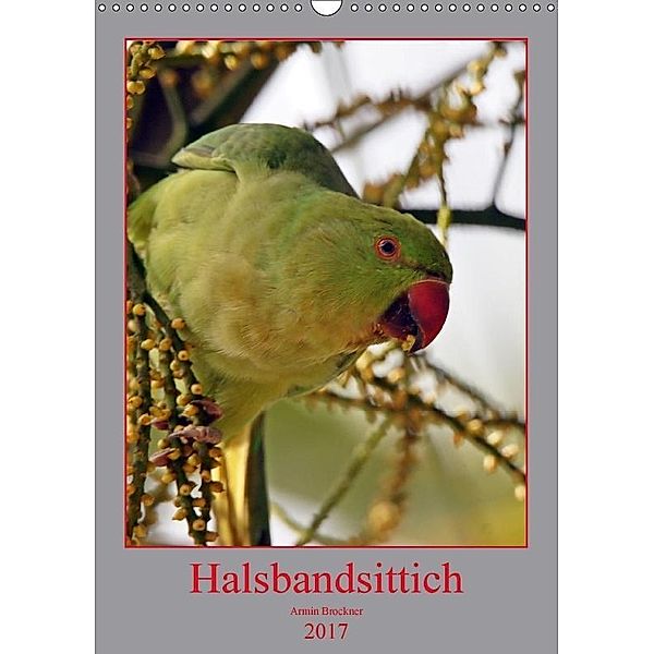 Halsbandsittich (Wandkalender 2017 DIN A3 hoch), Armin Brockner