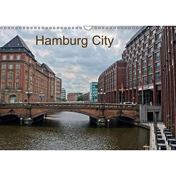 Hamburg City (Wandkalender 2015 DIN A3 quer), Ronald Schauer