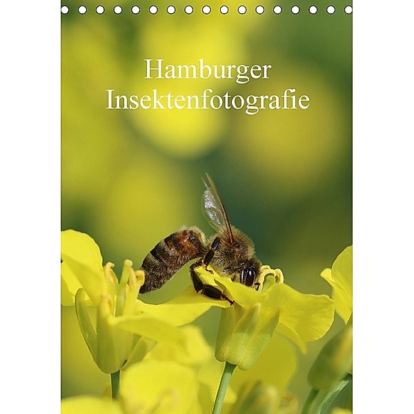 Hamburger Insektenfotografie (Tischkalender 2018 DIN A5 hoch), Matthias Brix