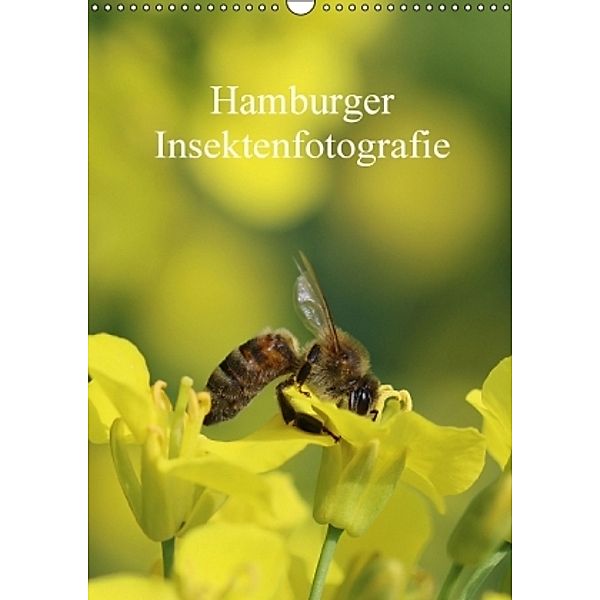 Hamburger Insektenfotografie (Wandkalender 2016 DIN A3 hoch), Matthias Brix