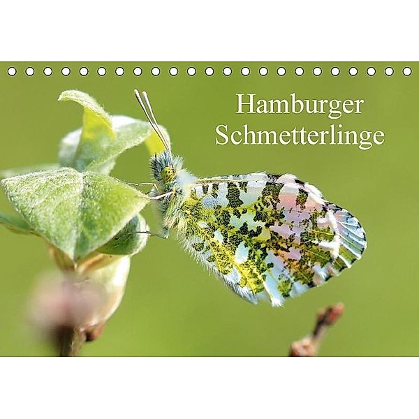 Hamburger Schmetterlinge (Tischkalender 2017 DIN A5 quer), Matthias Brix