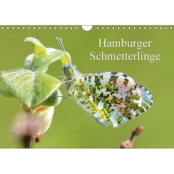 Hamburger Schmetterlinge (Wandkalender 2018 DIN A4 quer), Matthias Brix