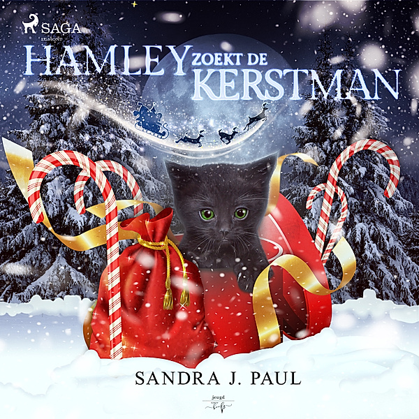 Hamley - 7 - Hamley zoekt de kerstman, Sandra J. Paul