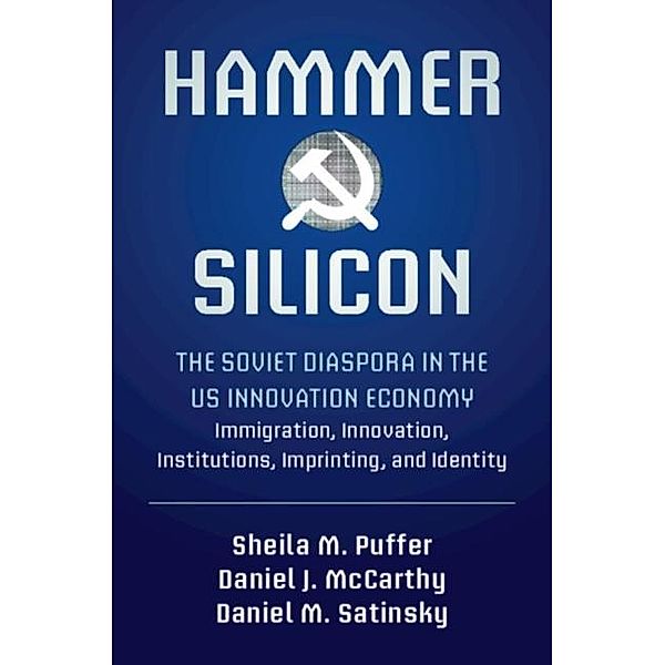 Hammer and Silicon, Sheila M. Puffer