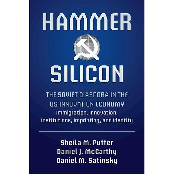 Hammer and Silicon, Sheila M. Puffer