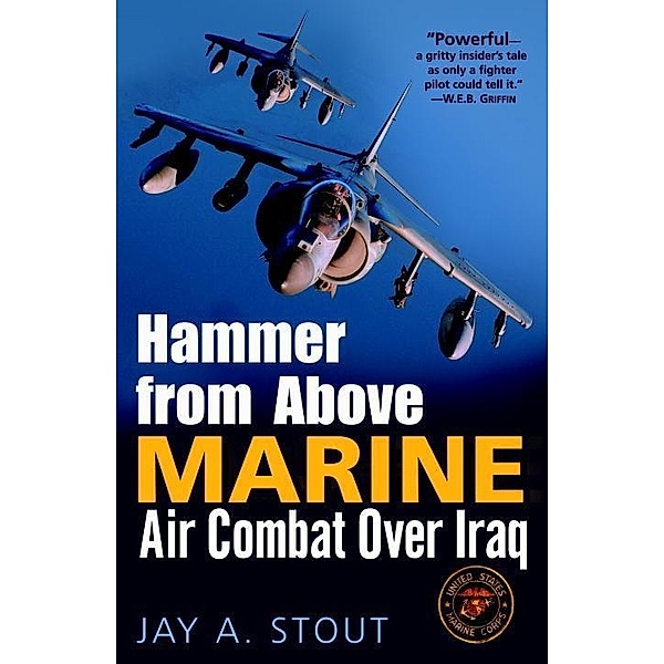 Hammer from Above, Jay A. Stout
