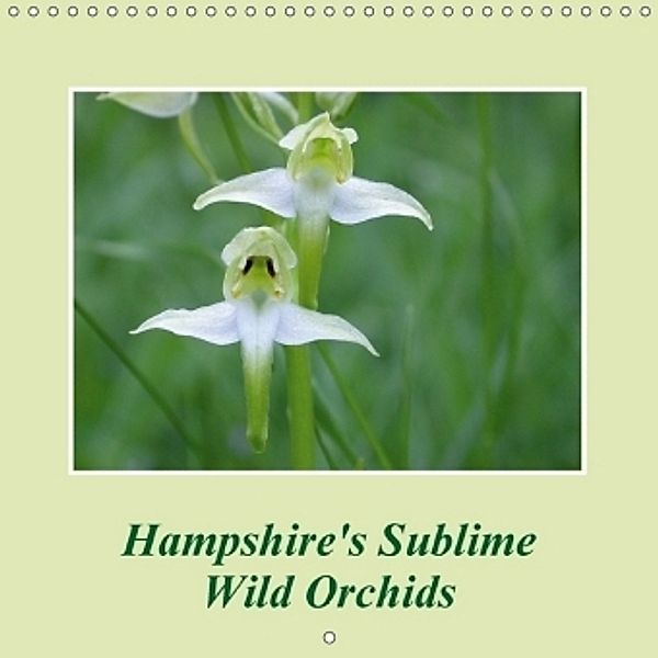 Hampshire's Sublime Wild Orchids (Wall Calendar 2017 300 × 300 mm Square), Peter Milinets-Raby