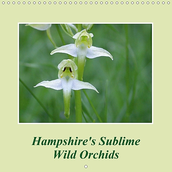 Hampshire's Sublime Wild Orchids (Wall Calendar 2021 300 × 300 mm Square), Peter Milinets-Raby