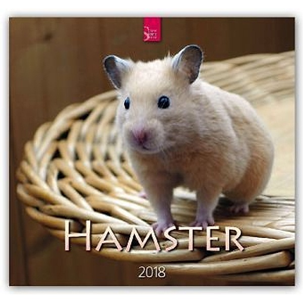 Hamster 2018