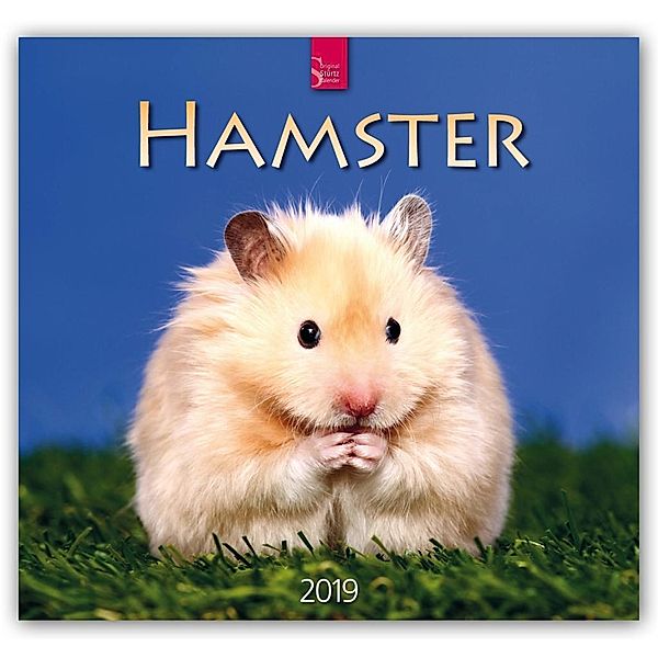 Hamster 2019