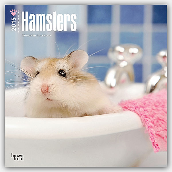 Hamsters, Broschürenkalender 2015