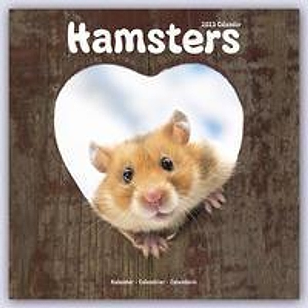 Hamsters - Hamster 2023 - 16-Monatskalender, Avonside Publishing Ltd