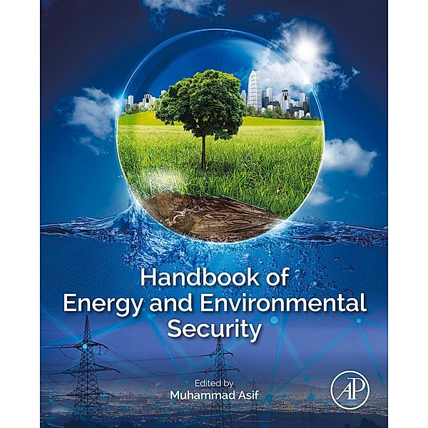 Handbook of Energy and Environmental Security