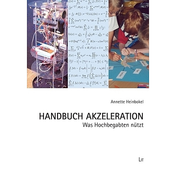 Handbuch Akzeleration, Annette Heinbokel