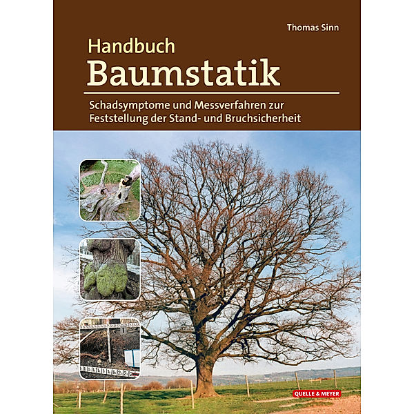 Handbuch Baumstatik, Thomas Sinn