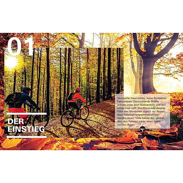 Handbuch Fahrrad und E-Bike. Alles zu Ausstattung, Technik und Zubehör. |  Jetzt online kaufen bei Frölich&Kaufmann