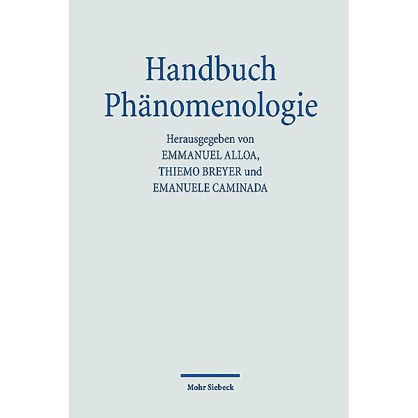 Handbuch Phänomenologie