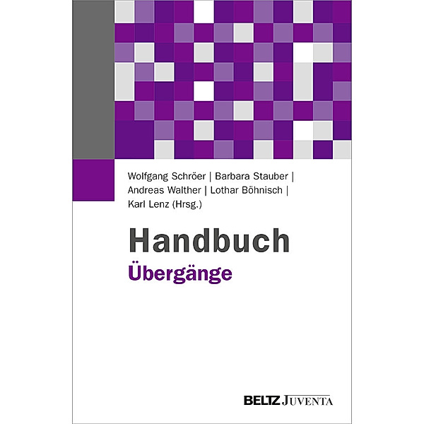 Handbuch Übergänge