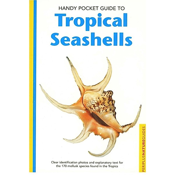 Handy Pocket Guide to Tropical Seashells / Handy Pocket Guides, Pauline Fiene-Severns, Mike Severns, Ruth Dyerly