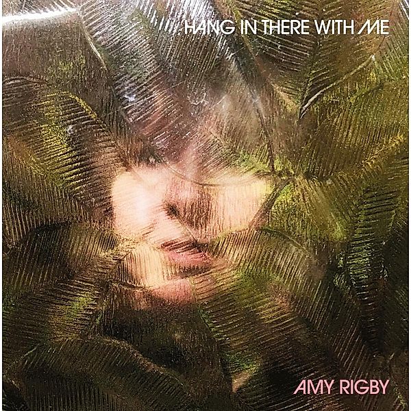 Hang In There With Me, Amy Rigby