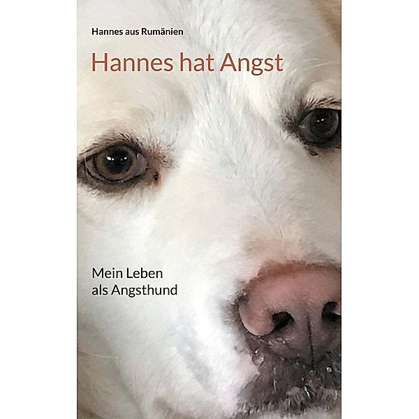 Hannes hat Angst, Hannes aus Rumänien