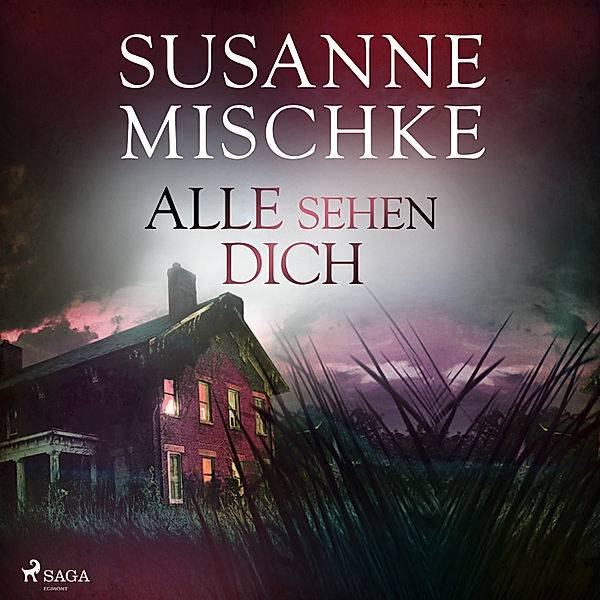 Hannover-Krimis - 12 - Alle sehen dich (Hannover-Krimis, Band 12), Susanne Mischke