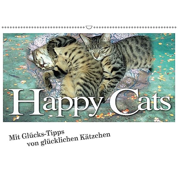 Happy Cats (Wandkalender 2018 DIN A2 quer) Dieser erfolgreiche Kalender wurde dieses Jahr mit gleichen Bildern und aktua, N N