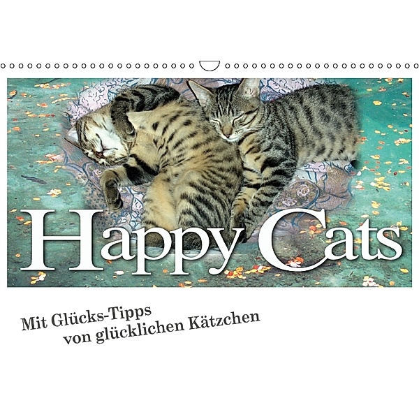 Happy Cats (Wandkalender 2018 DIN A3 quer) Dieser erfolgreiche Kalender wurde dieses Jahr mit gleichen Bildern und aktua, N N