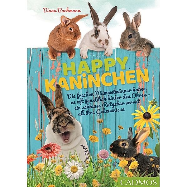 Happy Kaninchen, Diana Bachmann