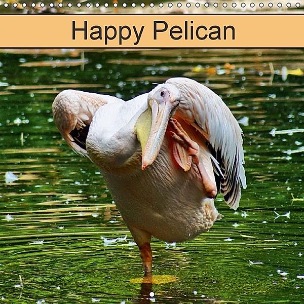 Happy Pelican (Wall Calendar 2018 300 × 300 mm Square), kattobello