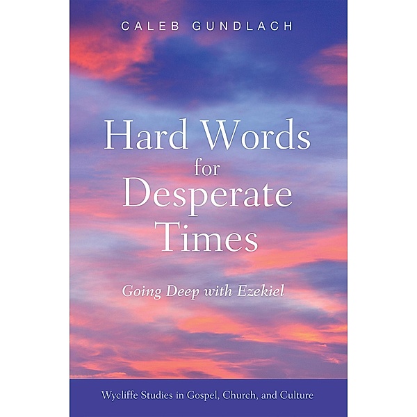 Hard Words for Desperate Times / Wycliffe Studies in Gospel, Church, and Culture