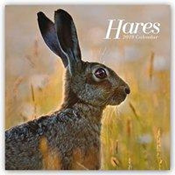 Hares 2019, Carousel Calendars