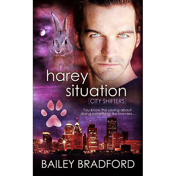 Harey Situation / City Shifters Bd.2, Bailey Bradford