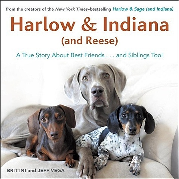 Harlow & Indiana (and Reese), Brittni Vega