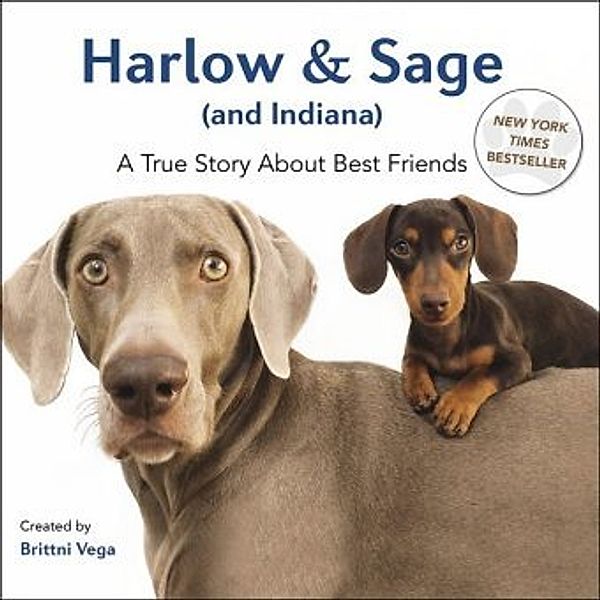 Harlow & Sage (and Indiana), Brittni Vega