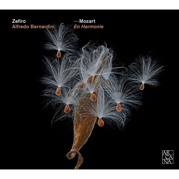 Harmoniemusiken Aus Le Nozze Di Figaro,Don Giovan, Bernardini, Zefiro