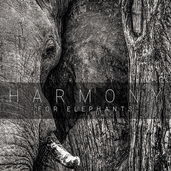 Harmony For Elephants ~ A Charity Album, Diverse Interpreten