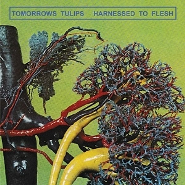 Harnessed To Flesh (Vinyl), Tomorrows Tulips