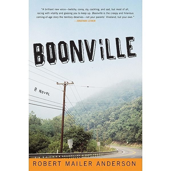 Harper Perennial: Boonville, Robert Mailer Anderson