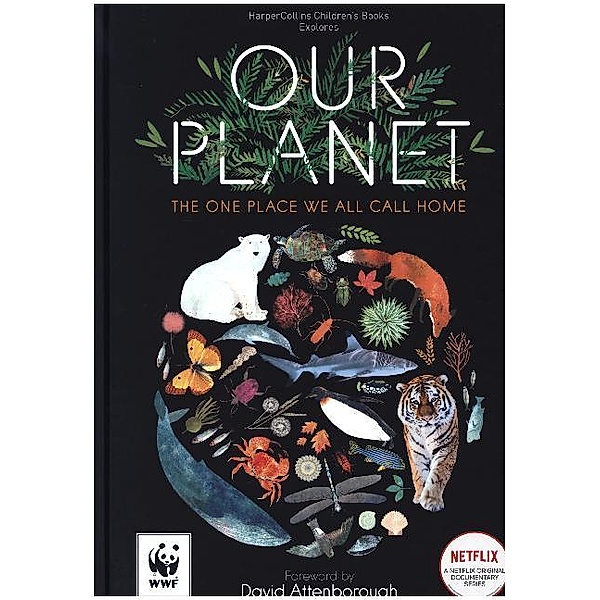 HarperCollins Children's Book Explores / Our Planet, Matt Whyman